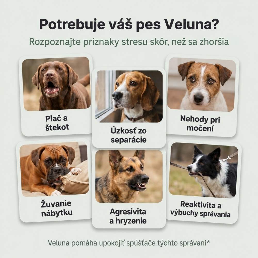 Veluna Feromónový Difuzér pre Psy