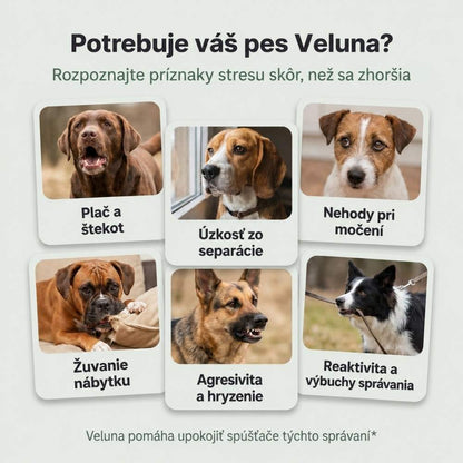 Veluna Feromónový Difuzér pre Psy