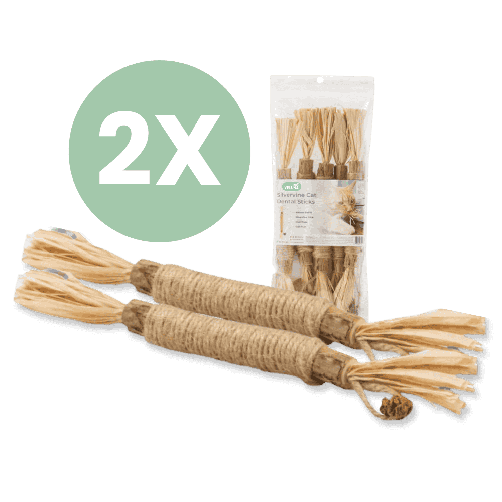 DentaSticks – Dentálne tyčinky Silvervine pre mačky