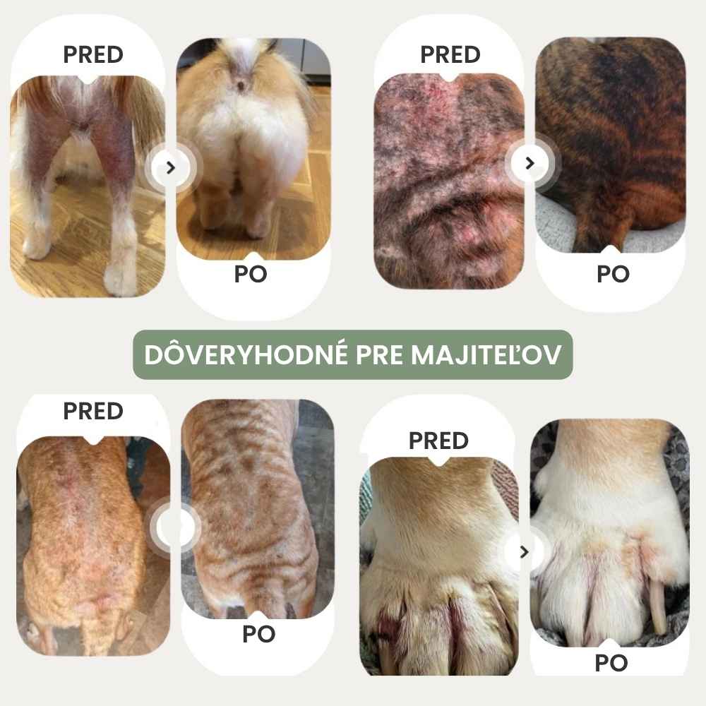 Veluna Sprej na Úľavu Pokožky pre Psov Schválený Veterinárom