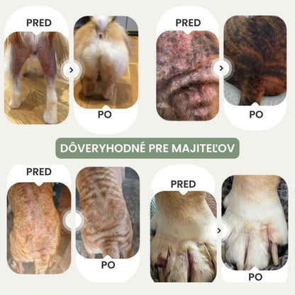 Veluna Sprej na Úľavu Pokožky pre Psov Schválený Veterinárom