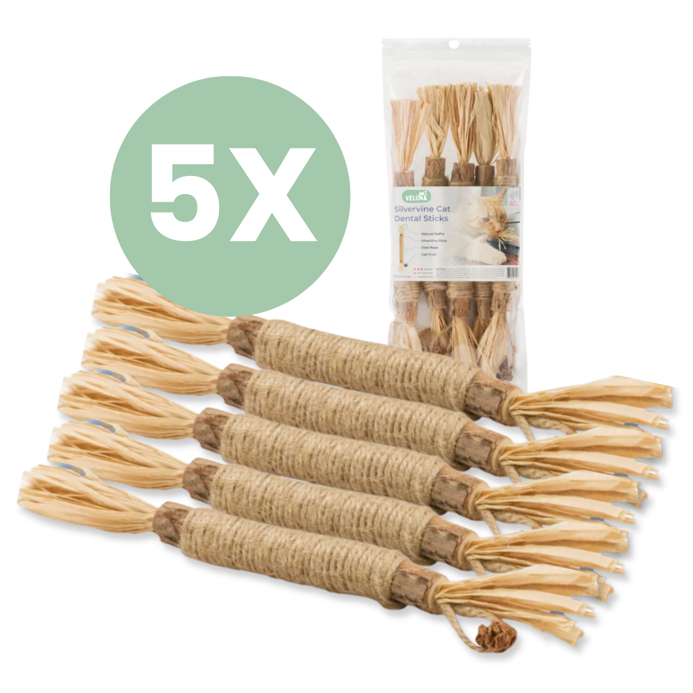 DentaSticks – Dentálne tyčinky Silvervine pre mačky