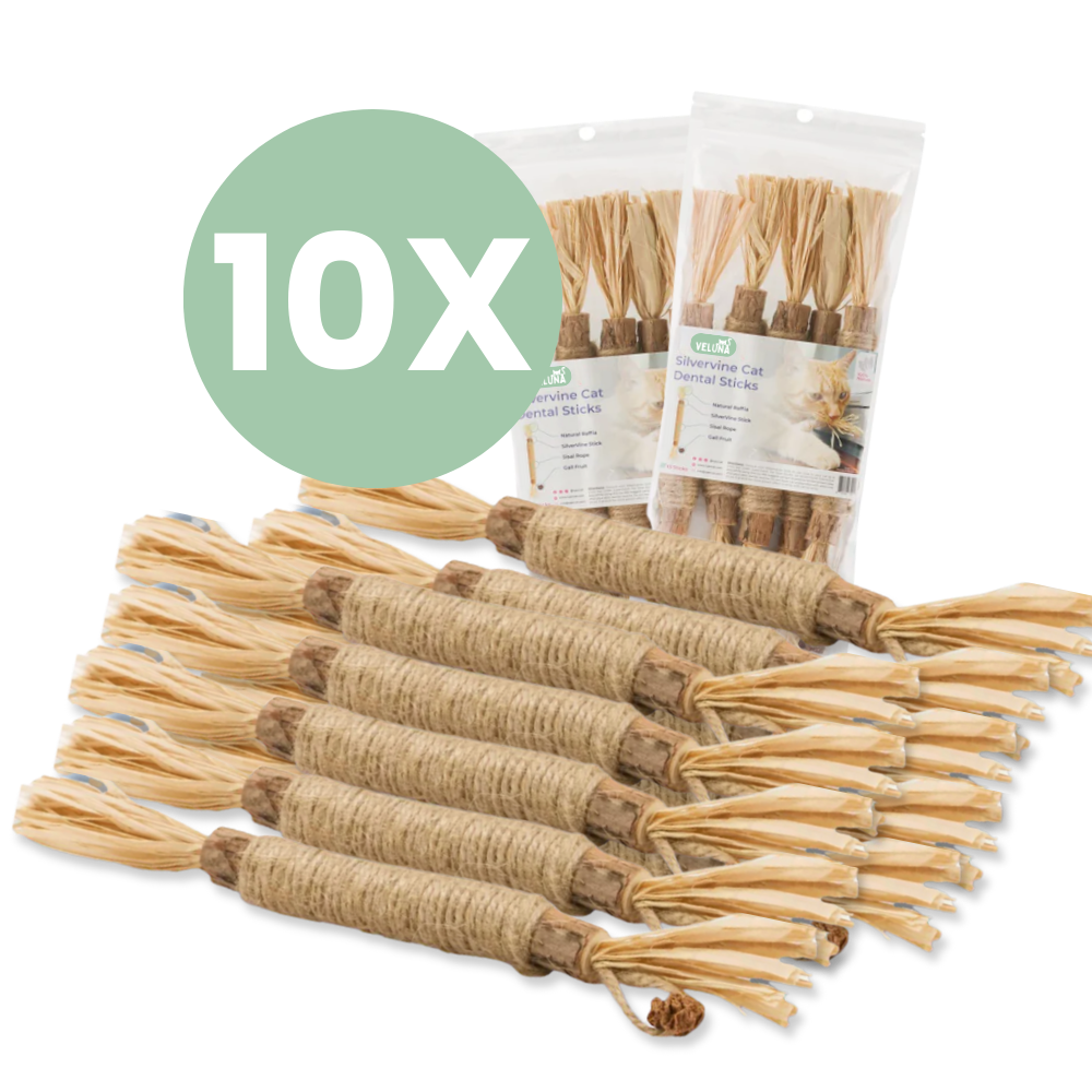 DentaSticks – Dentálne tyčinky Silvervine pre mačky