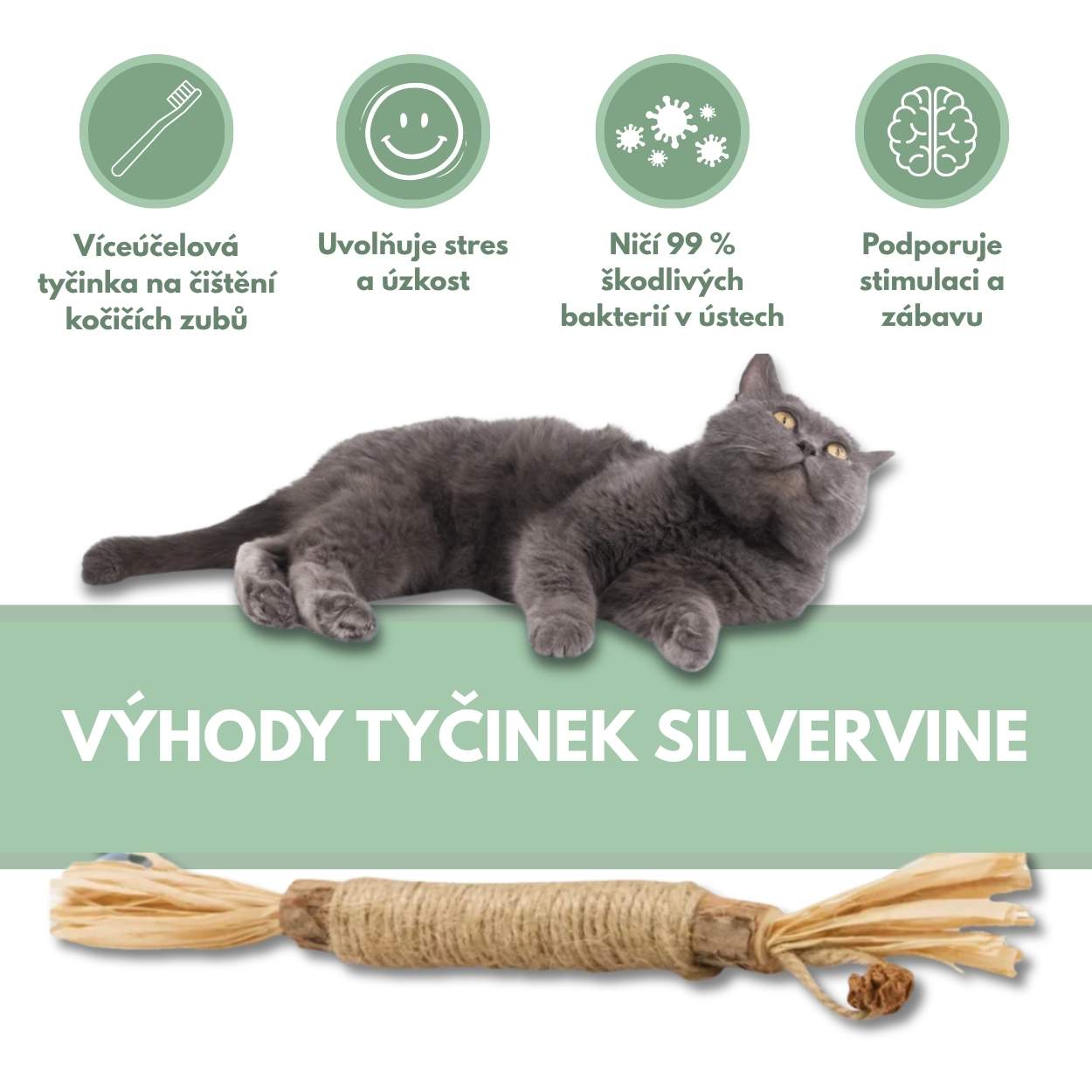 Silvervine dental sticks upsell SK