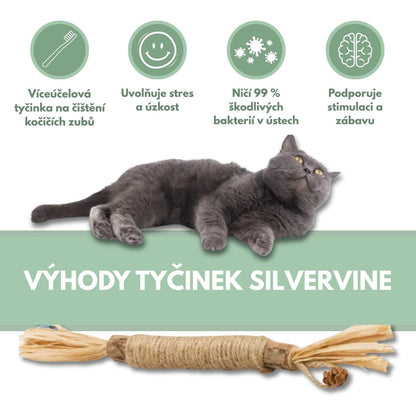 Silvervine dental sticks upsell SK