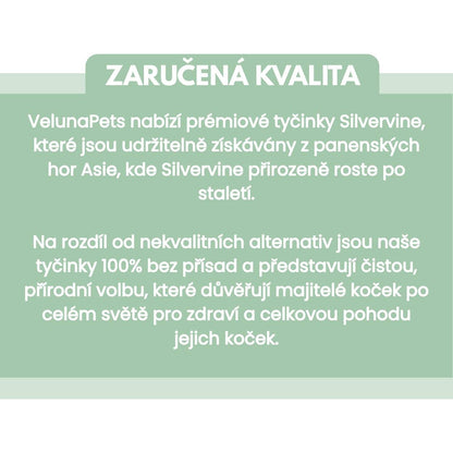 Silvervine dental sticks upsell SK