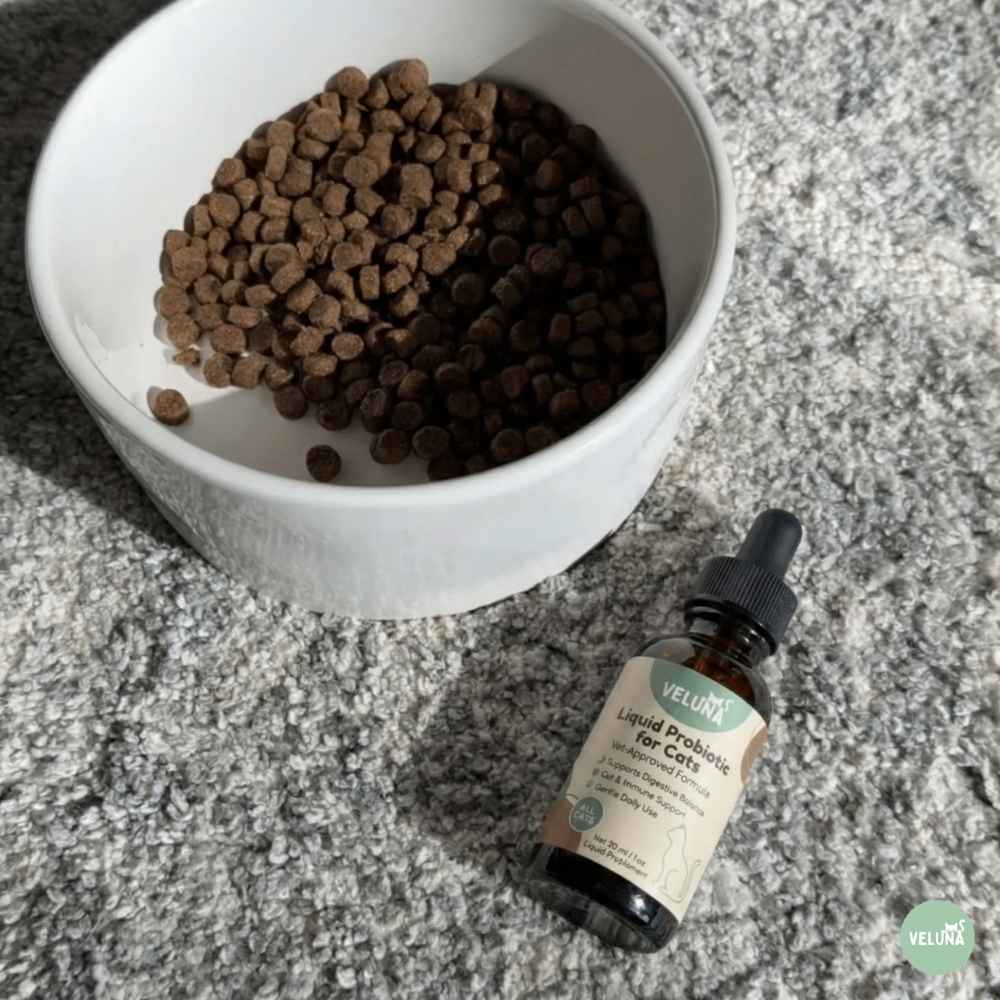 Veluna Pokročilý Tekutý Probiotikum pre Mačky