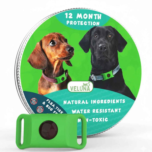 Obojok Veluna – proti blchám (ochrana až 12 mesiacov)