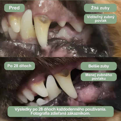 Veluna Dentálny Prášok pre Psov
