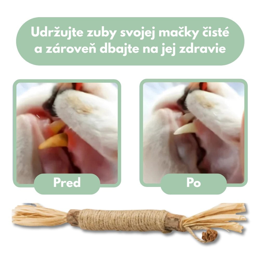 DentaSticks – Dentálne tyčinky Silvervine pre mačky