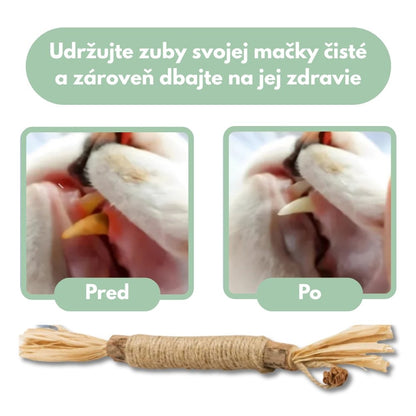DentaSticks – Dentálne tyčinky Silvervine pre mačky