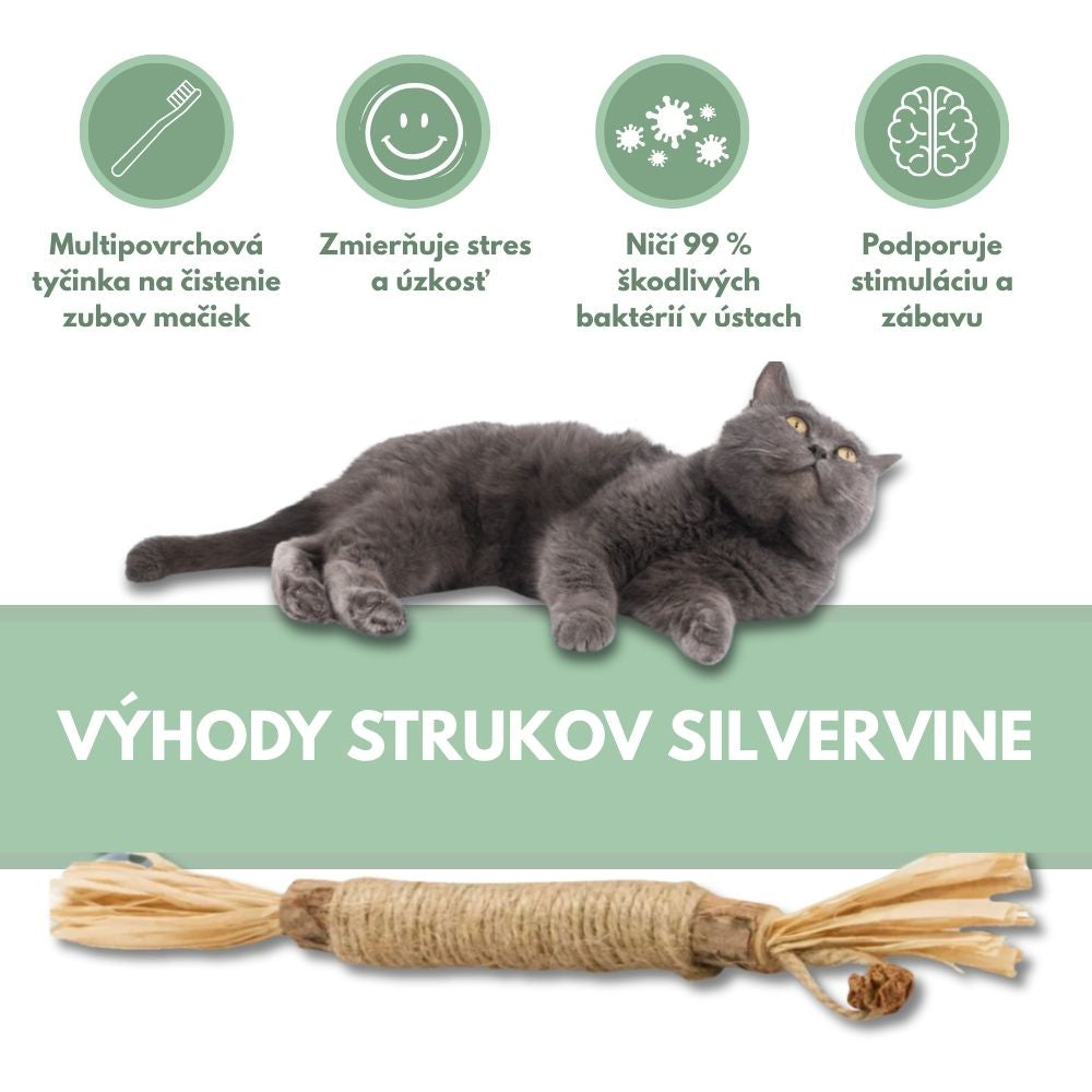 DentaSticks – Dentálne tyčinky Silvervine pre mačky