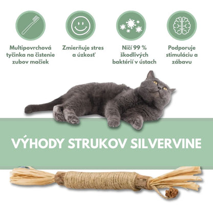 DentaSticks – Dentálne tyčinky Silvervine pre mačky