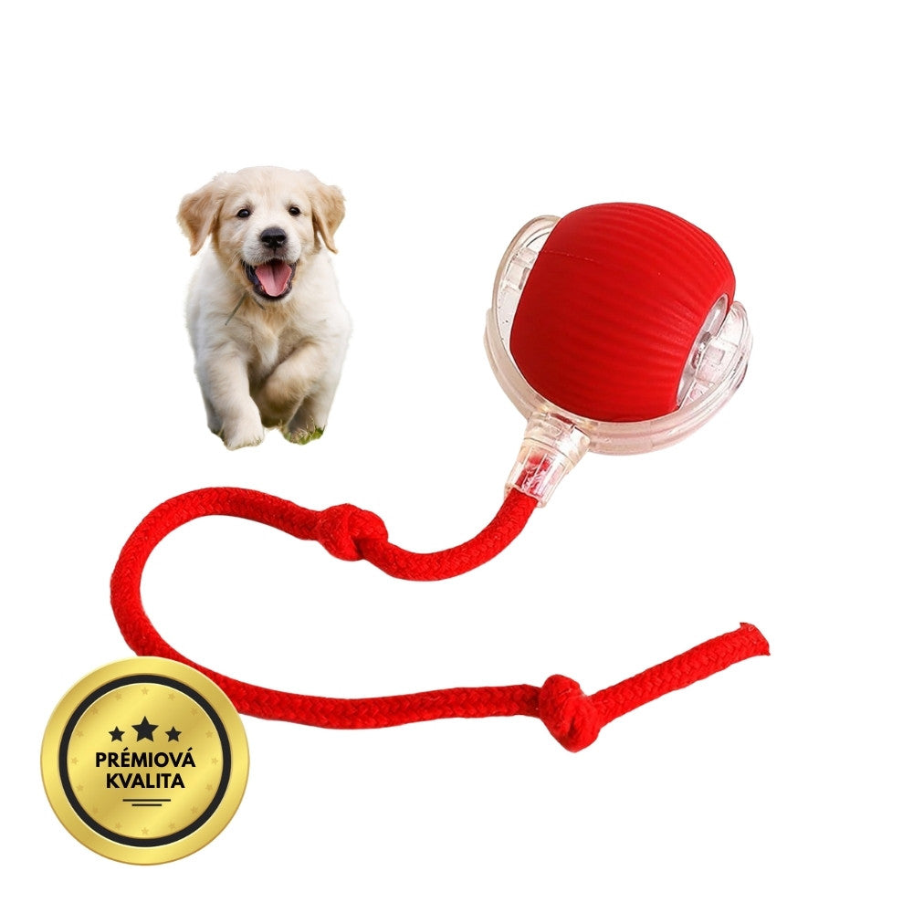 Inteligentná a interaktívna loptička pre vášho psa – nabíjateľná cez USB