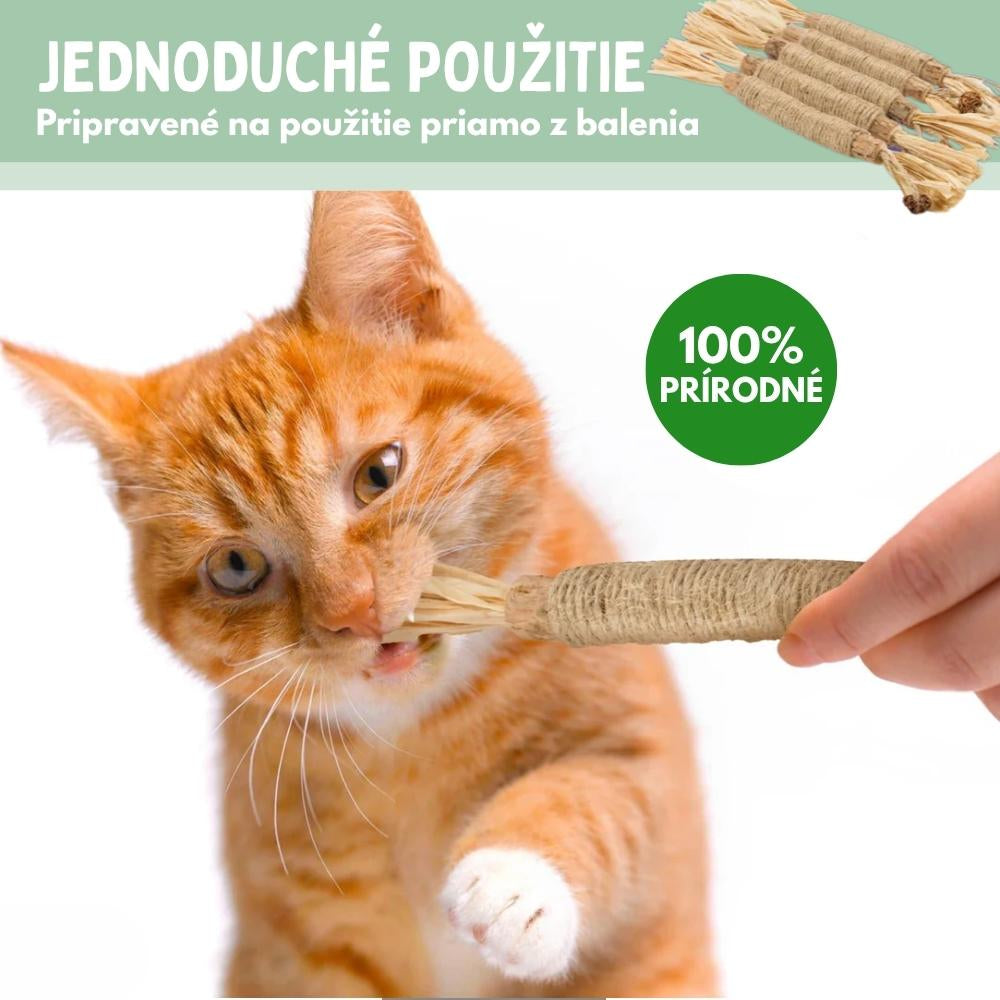 DentaSticks – Dentálne tyčinky Silvervine pre mačky