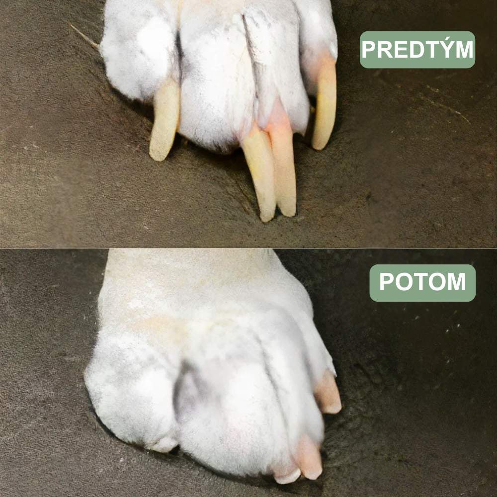 Veluna GroomPro pre psy