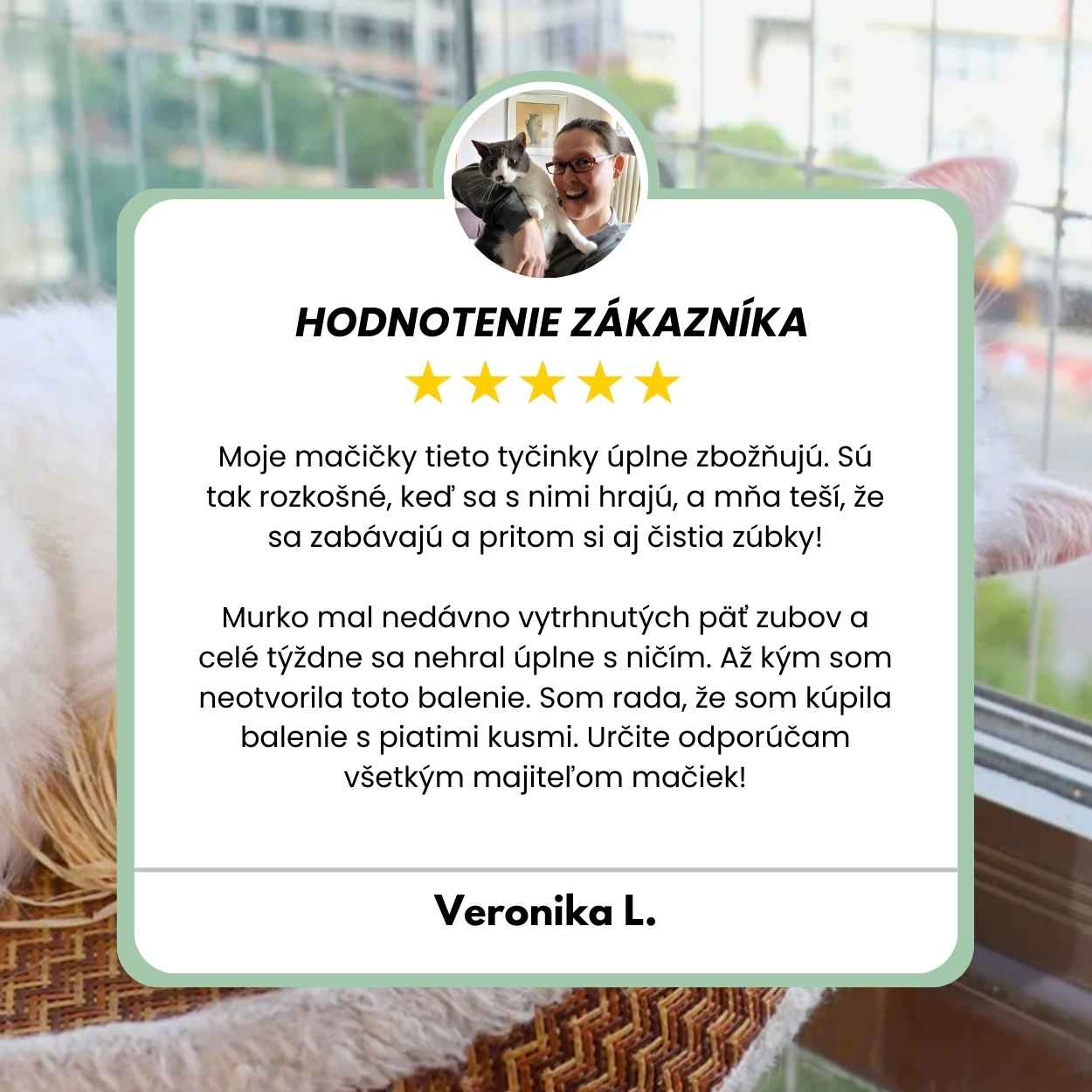 DentaSticks – Dentálne tyčinky Silvervine pre mačky