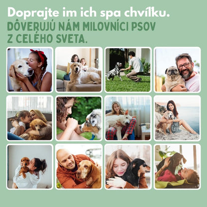 Veluna Steam Brush pre Psov