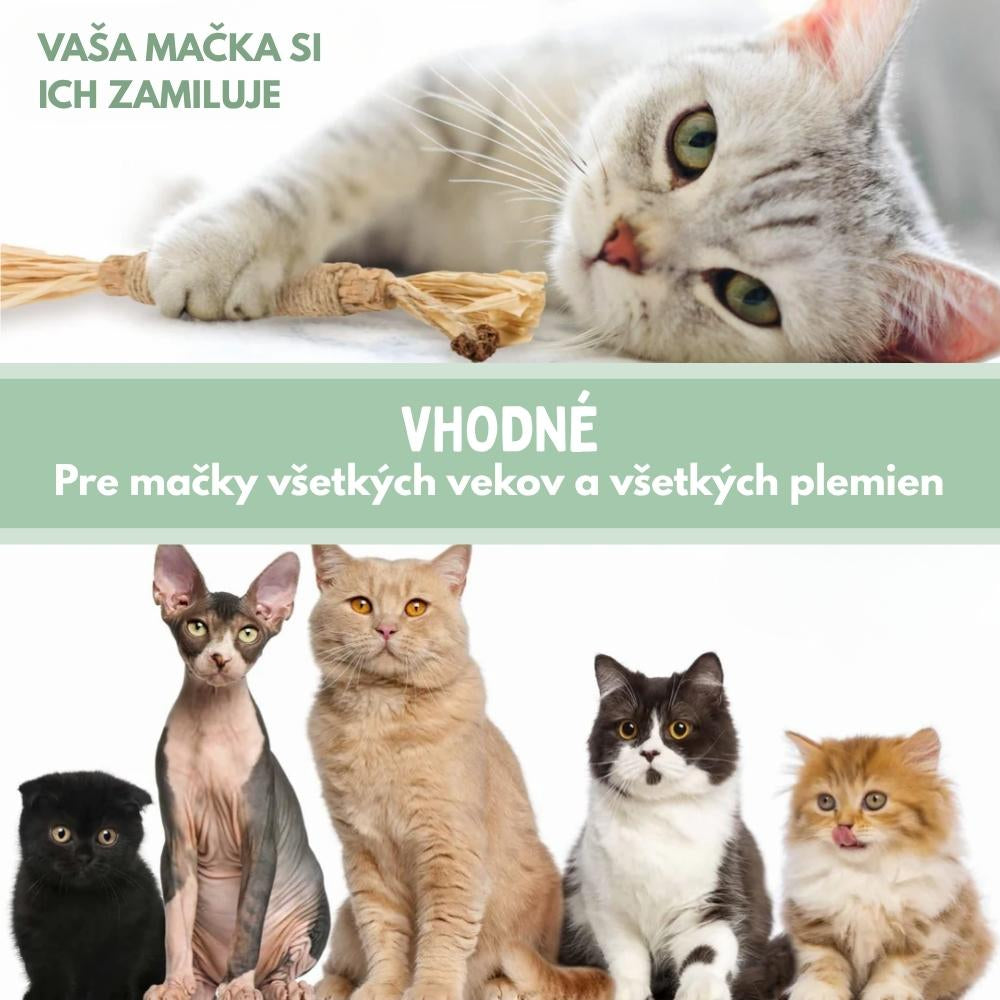 DentaSticks – Dentálne tyčinky Silvervine pre mačky