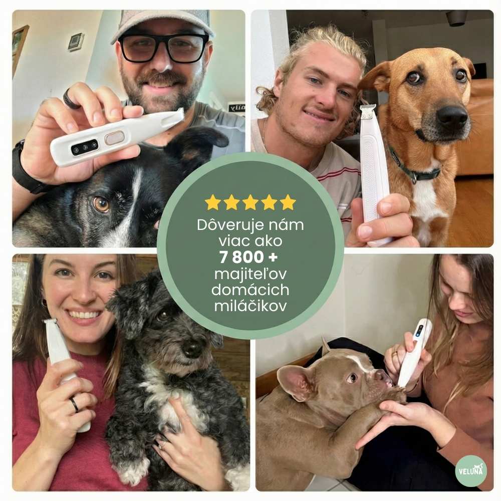 PawTrim Pro – Bezbolestná starostlivosť o labky za pár sekúnd