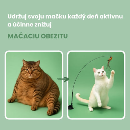 Interaktívna hračka pre mačky s perím, závesná a elastická