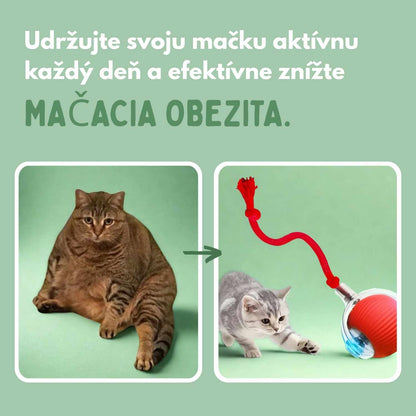 Inteligentná loptička pre mačky, 100 % autonómna, navrhnutá tak, aby napodobňovala skutočnú korisť