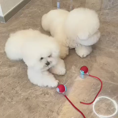 Inteligentná a interaktívna loptička pre vášho psa – nabíjateľná cez USB