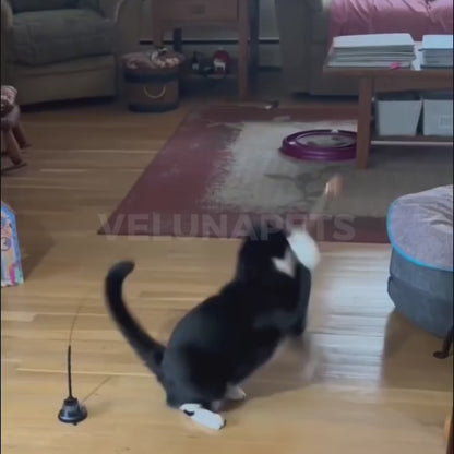 Interaktívna hračka pre mačky s perím, závesná a elastická