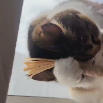 DentaSticks – Dentálne tyčinky Silvervine pre mačky